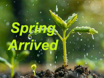 Uyanan Dünya: Baharın Başlangıcı Lichun'u Kutlamak